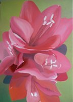 Bindernagel_Amaryllis_2017_Oel_69x100cm